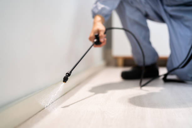 Licensed Termite Control service in Dagsboro, DE - Nex Pest Control