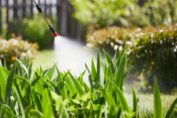 24/7 Emergency Termite Control experts in Dagsboro, DE