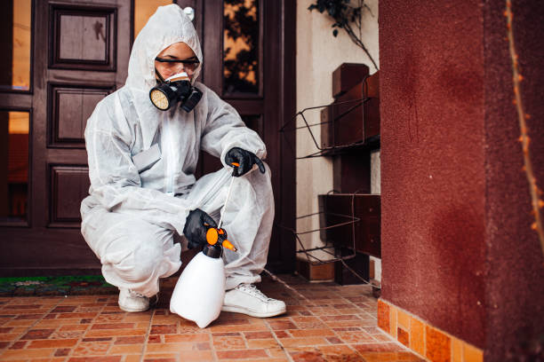 Reliable Termite Control contractor in Dagsboro, DE by Nex Pest Control